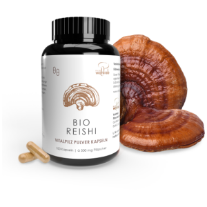 GRZYBY REISHI (LAKOWNICA LŚNIĄCA) BIO (500 mg) 100 KAPSUŁEK - PILZE WOHLRAB