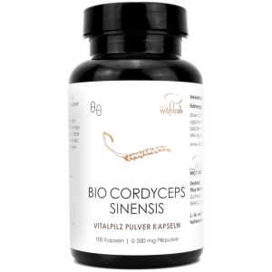 GRZYBY CORDYCEPS SINENSIS (KORDYCEPS CHIŃSKI) BIO (500 mg) 100 KAPSUŁEK - PILZE WOHLRAB